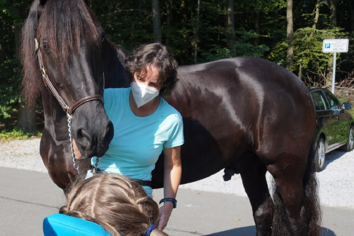 Bild1